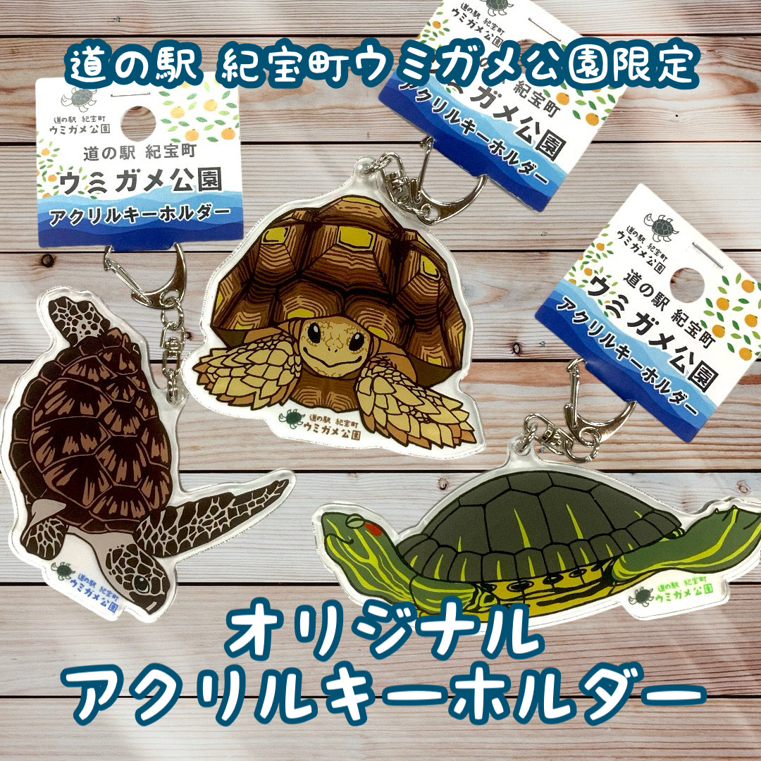 GOODS INFORMATION | ひきこもりでもLIVEがしたい！ひきこもり