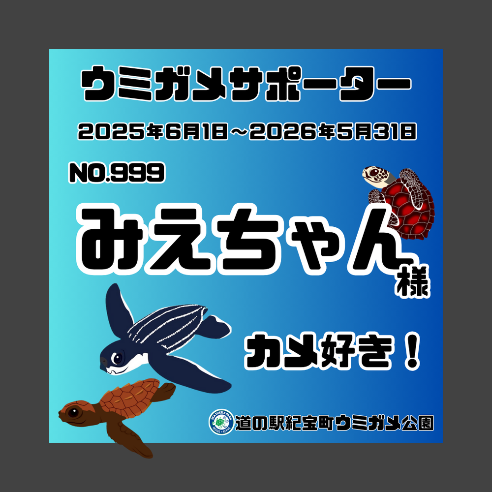 ウミガメサポーター入会券（1年間） – 飛雪の滝グッズストア