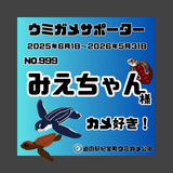 ウミガメサポーター入会券（１年間）