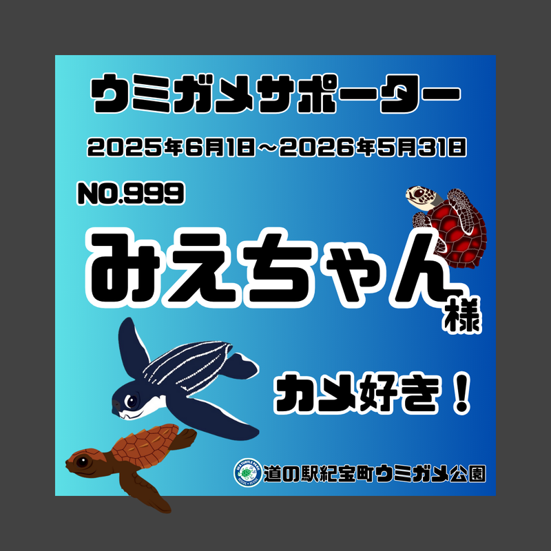 ウミガメサポーター入会券（１年間）