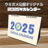 オリジナルカレンダー TURTLE2025