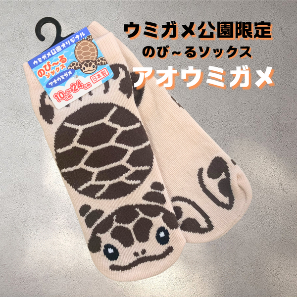 オリジナル靴下「のび～るソックス」アオウミガメ