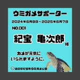 ウミガメサポーター入会券（１年間）