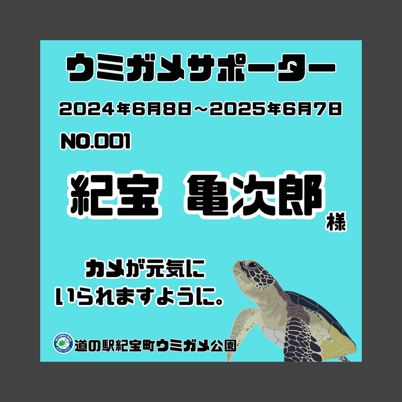 ウミガメサポーター入会券（１年間）