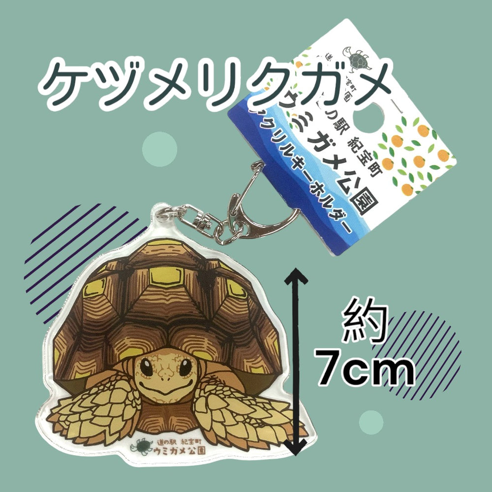 IMG_8611_1000x.jpg?v=1728631613