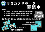 ウミガメサポーター入会券（１年間）