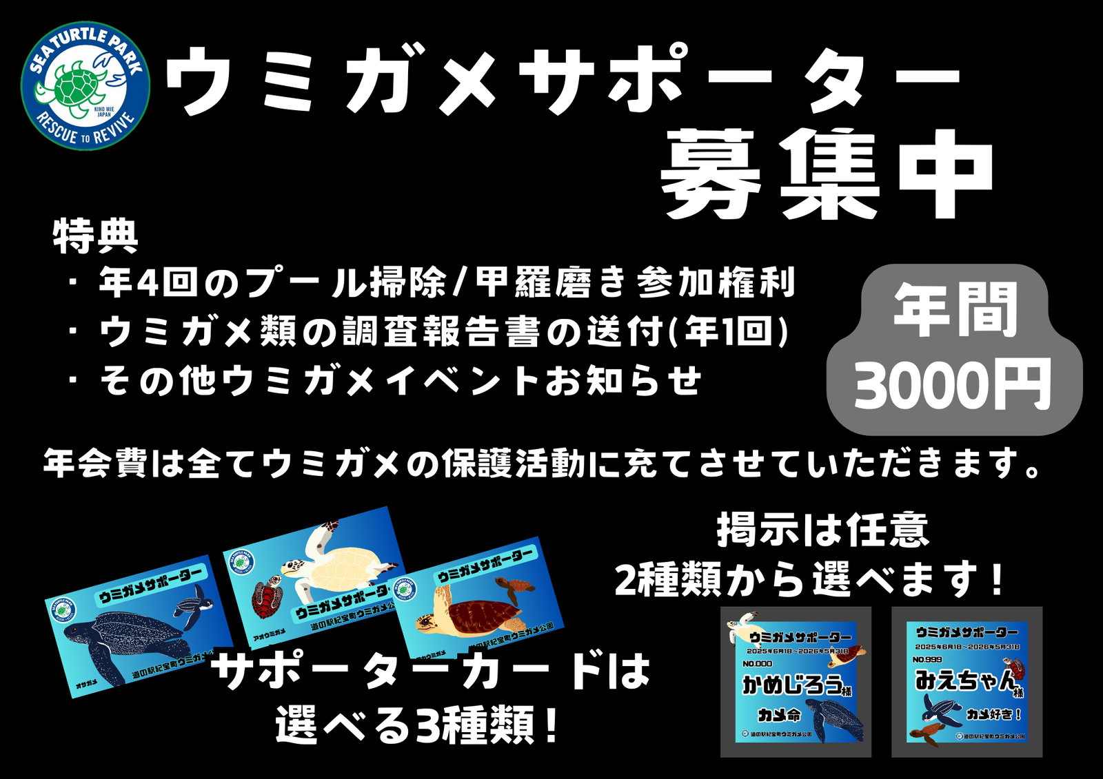 ウミガメサポーター入会券（1年間） – 飛雪の滝グッズストア