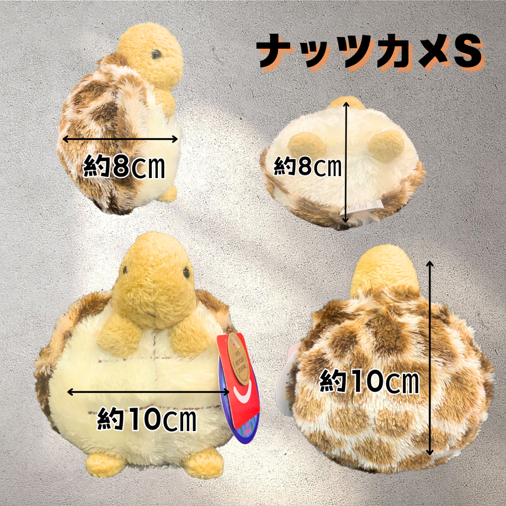 かめののぶゆき様 リクエスト 2点 まとめ商品 Amazon.co.jp: AQUA ぬいぐるみ マリン カメのノブユキくん S