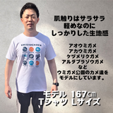 オリジナルTシャツ「UMIGAMEKOEN]
