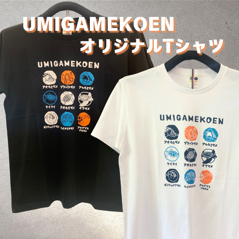 オリジナルTシャツ「UMIGAMEKOEN]
