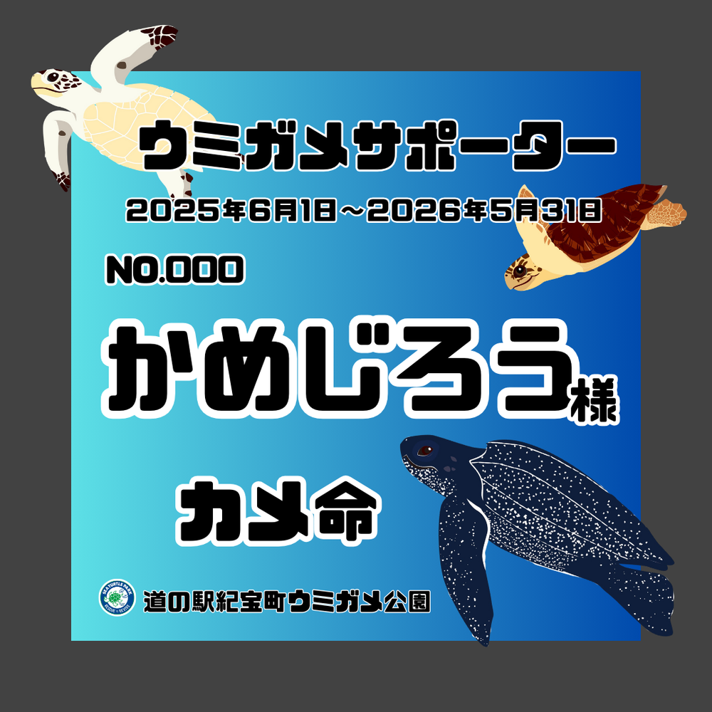 ウミガメサポーター入会券（1年間） – 飛雪の滝グッズストア