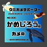 ウミガメサポーター入会券（１年間）