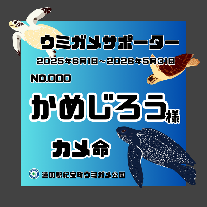 ウミガメサポーター入会券（１年間）