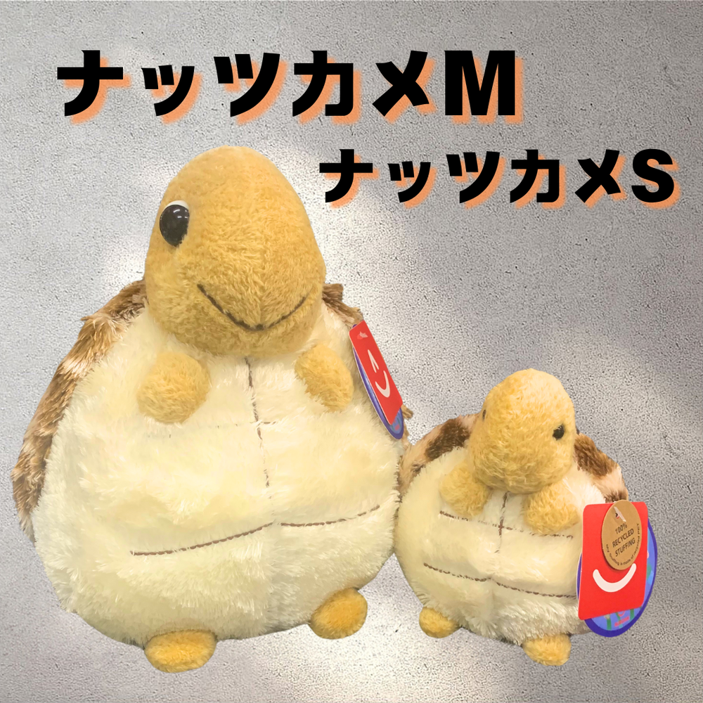 アバンティー　キングカメハメハSサイズぬいぐるみセット Amazon.co.jp: キングカメハメハ ぬいぐるみ Sサイズ アバンティ